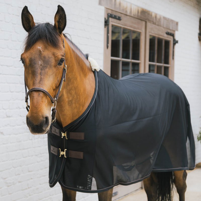 Kentucky Mesh Fly Sheet - Nags Essentials