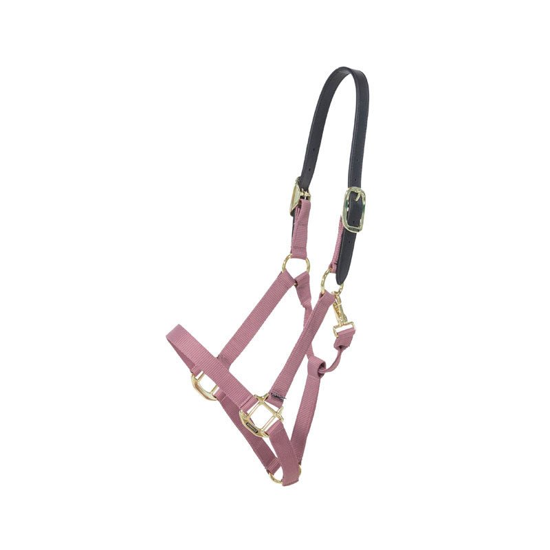 Kentucky Nylon Breakaway Halter - Nags Essentials