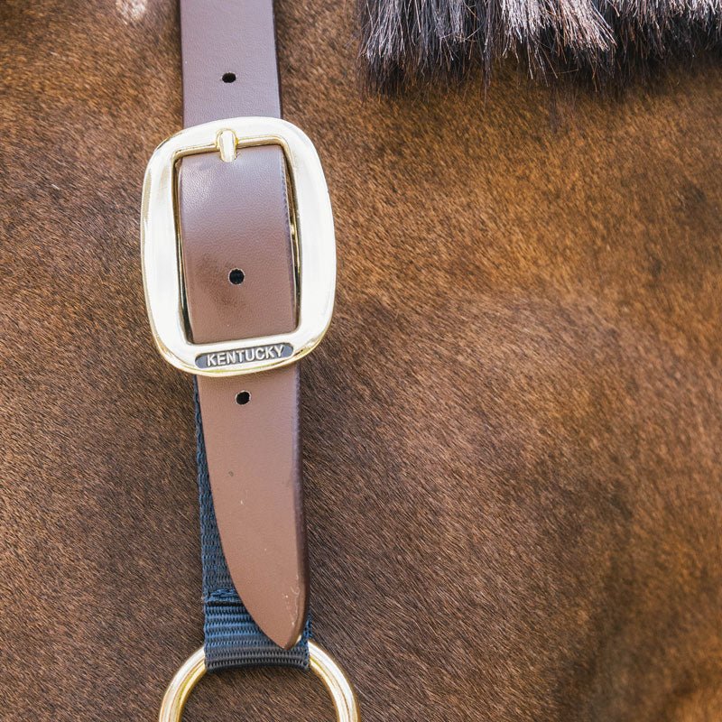Kentucky Nylon Halter Breakaway Neck Piece - Nags Essentials