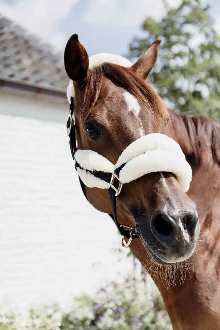 Kentucky Nylon Sheepskin Halter Soft - Nags Essentials