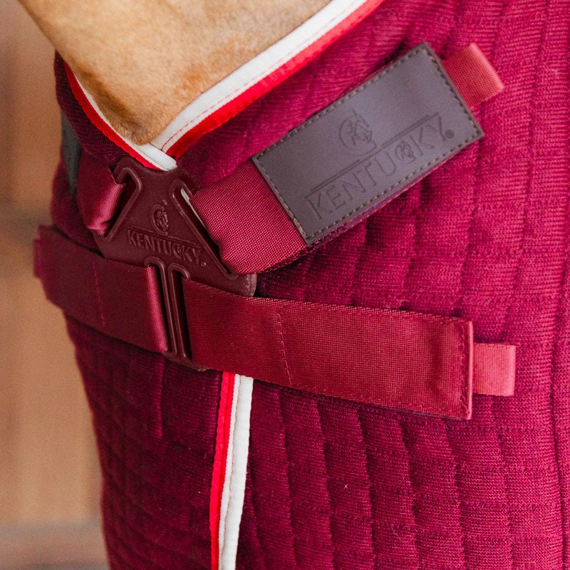 Kentucky ProThermCooler Rug - Nags Essentials