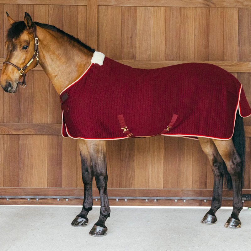 Kentucky ProThermCooler Rug - Nags Essentials
