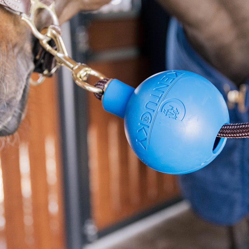Kentucky Rubber Ball Wall and Lead Protector - Nags Essentials