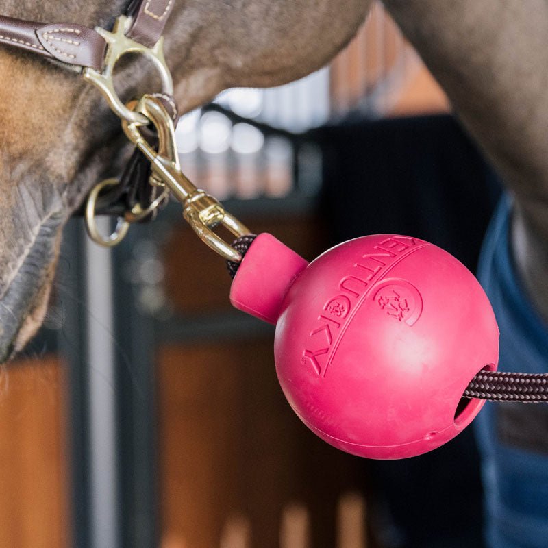 Kentucky Rubber Ball Wall and Lead Protector - Nags Essentials
