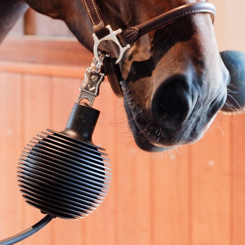 Kentucky Rubber Ball Wall and Lead Protector Pro - Nags Essentials