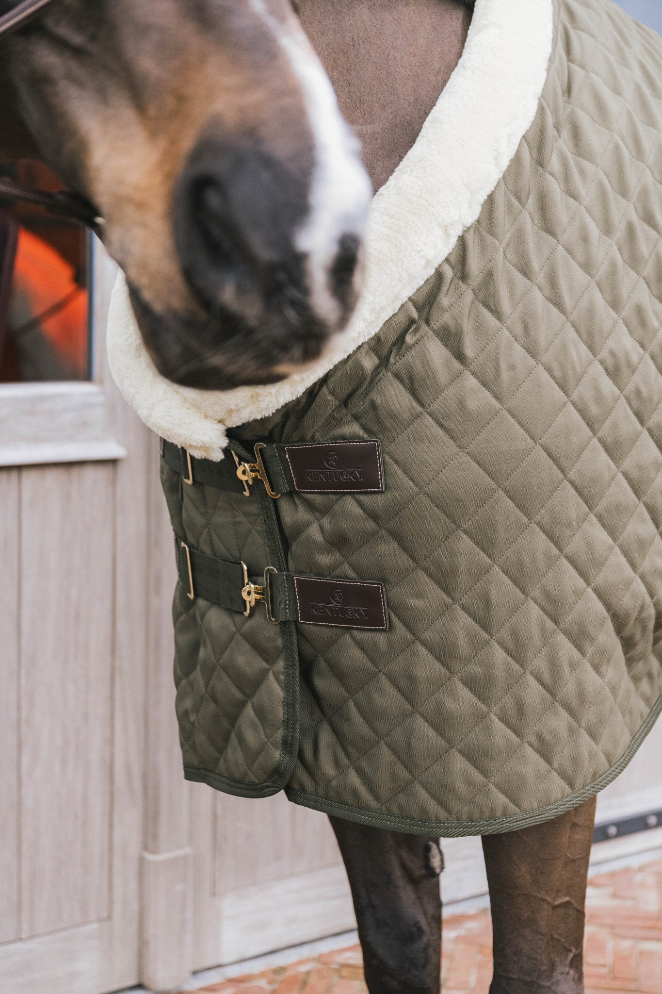 Kentucky Show Rug - Nags Essentials