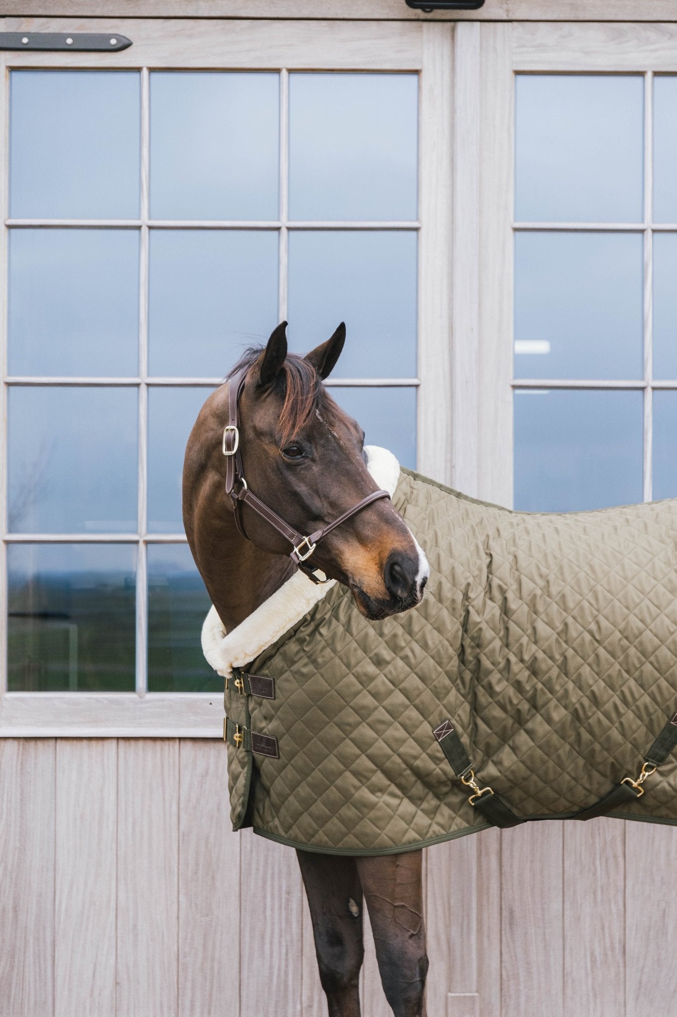 Kentucky Show Rug - Nags Essentials