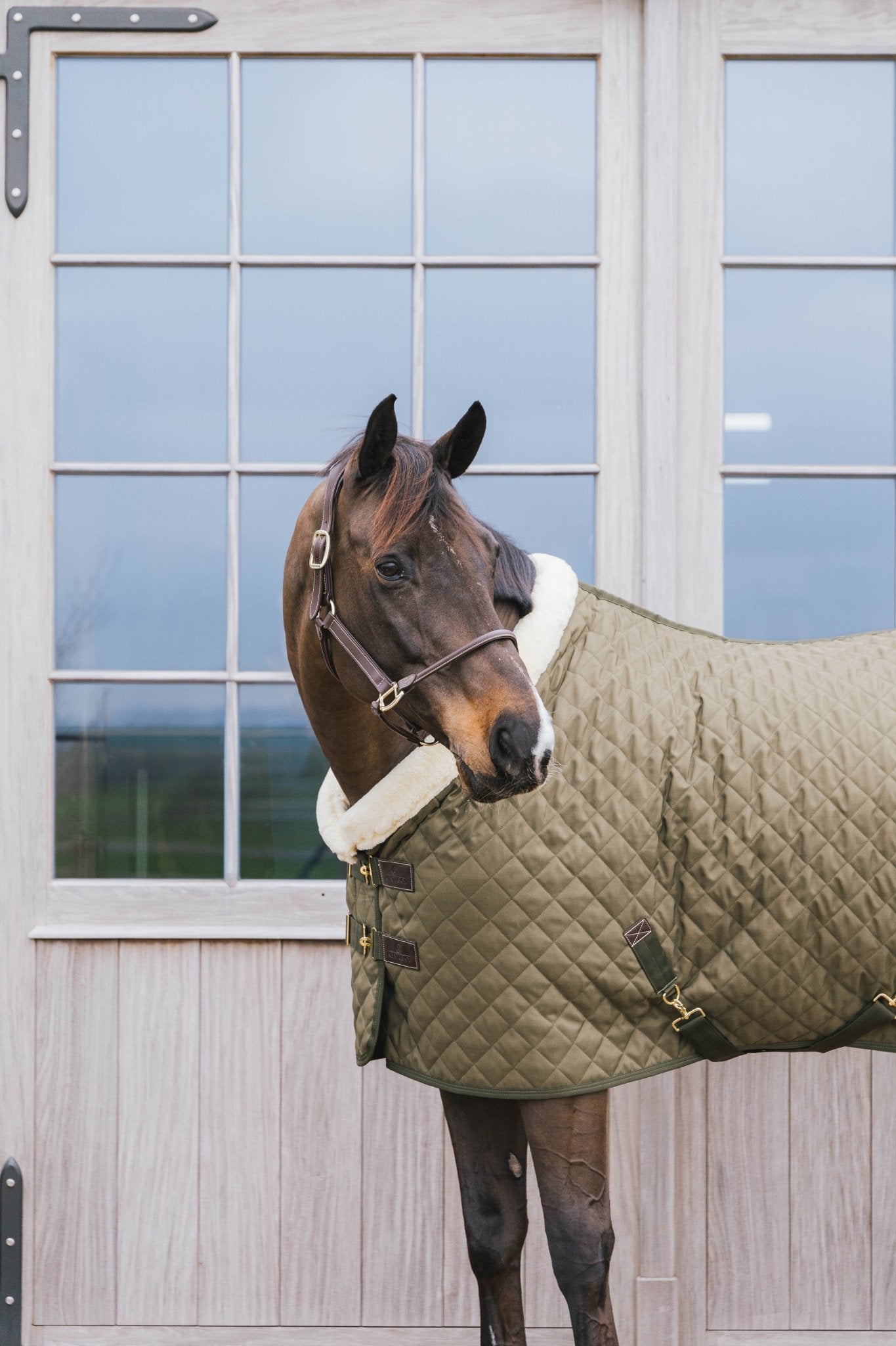 Kentucky Show Rug - Nags Essentials
