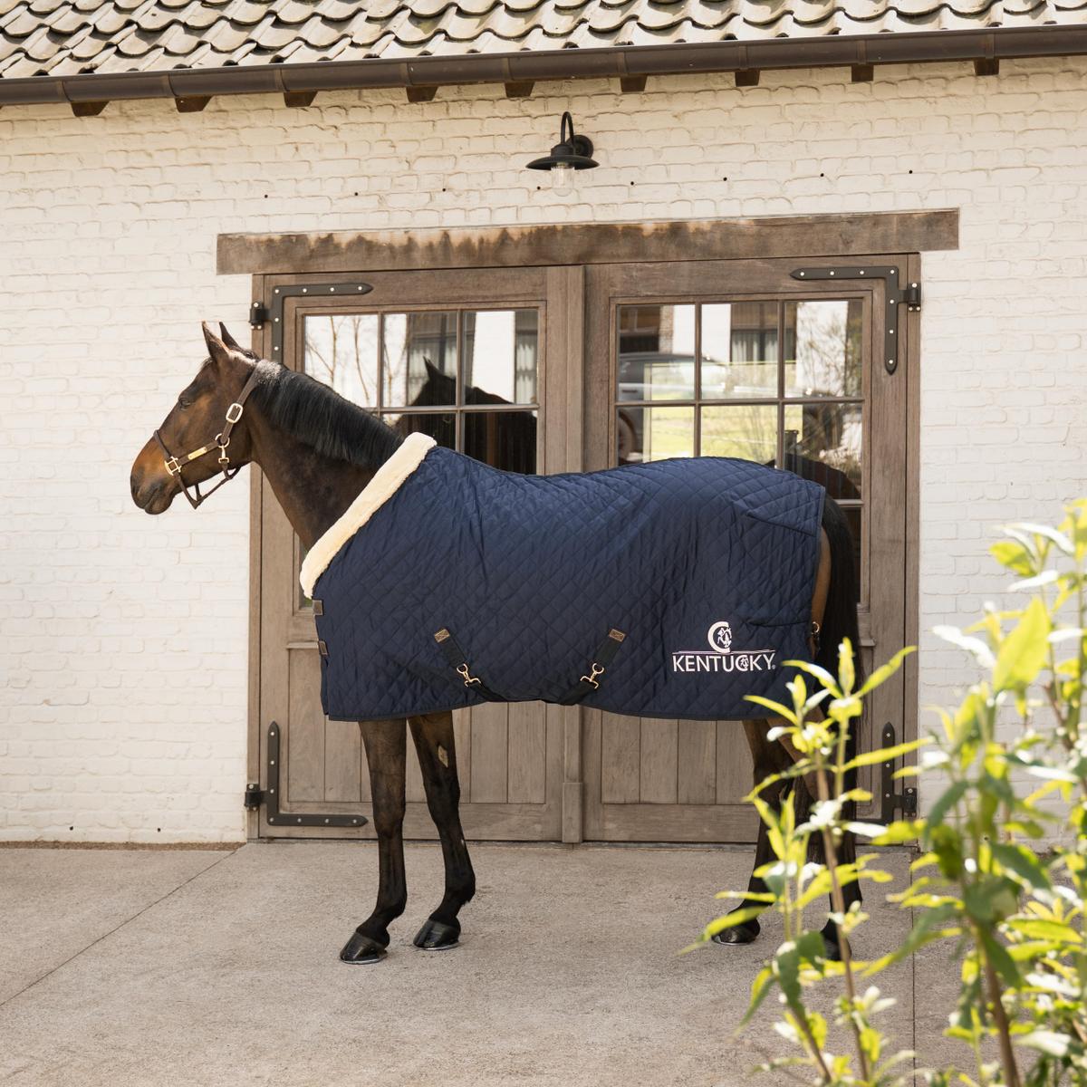Kentucky Show Rug with Logo - Nags Essentials