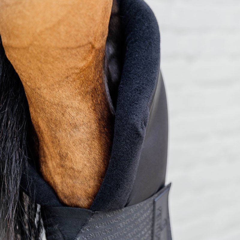 Kentucky Stable Boots PROtect Long Hind - Nags Essentials