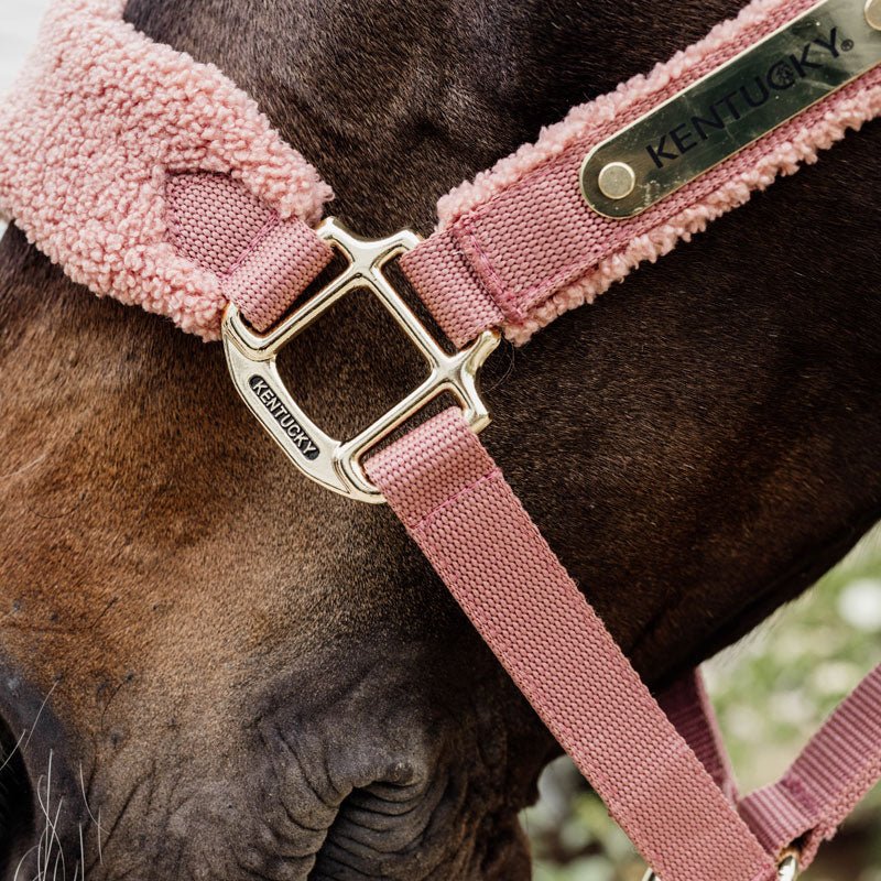 Kentucky Teddy Fleece Head Collar - Nags Essentials
