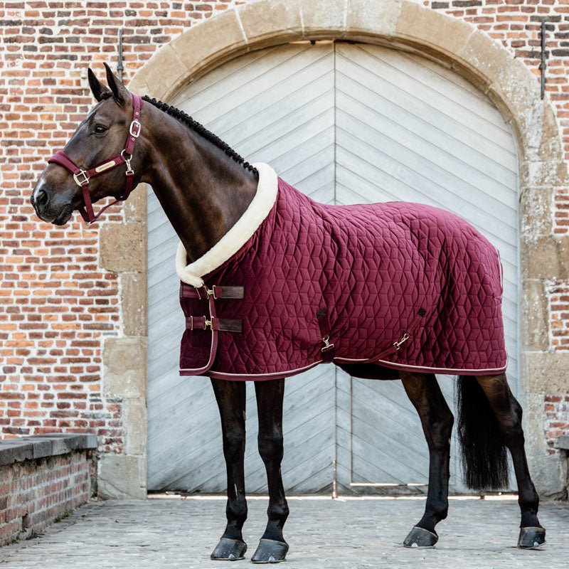 Kentucky Velvet Show Rug - Nags Essentials