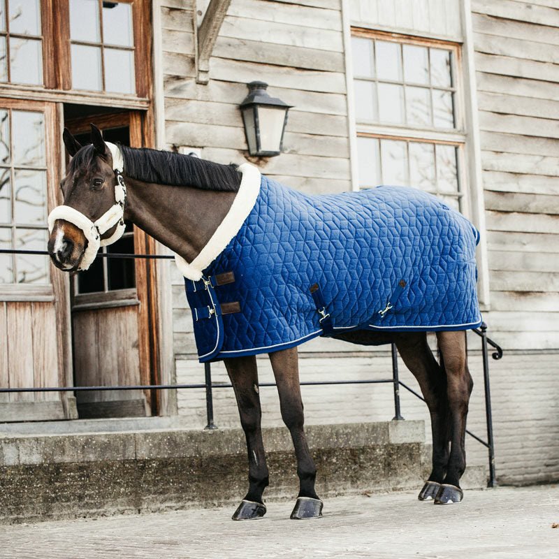 Kentucky Velvet Show Rug - Nags Essentials