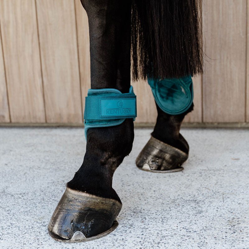 Kentucky Young Horse Fetlock Boots Velvet -Emerald Green - Nags Essentials