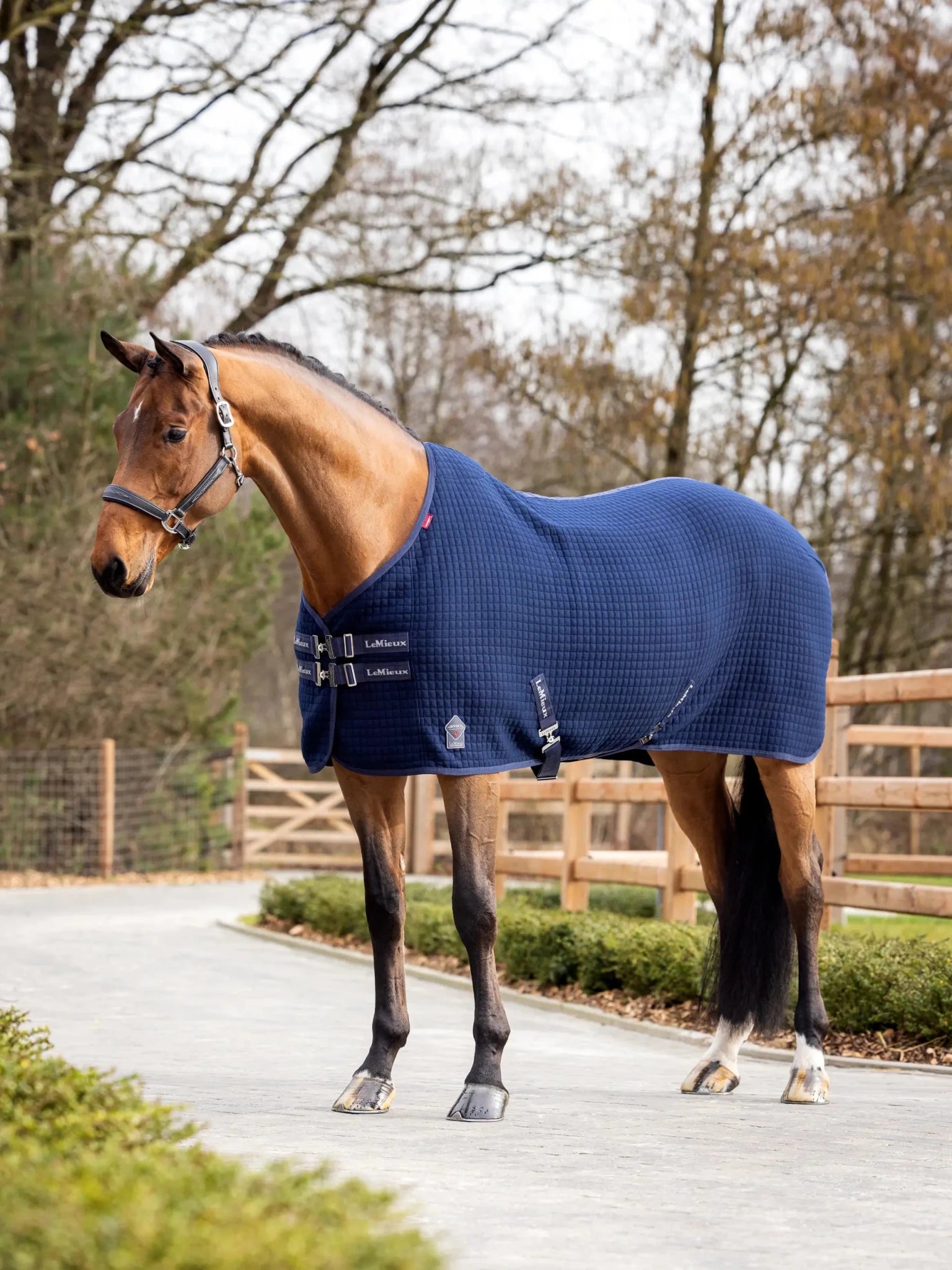 LeMieux Arika Clima - Tek Rug - Navy - Nags Essentials
