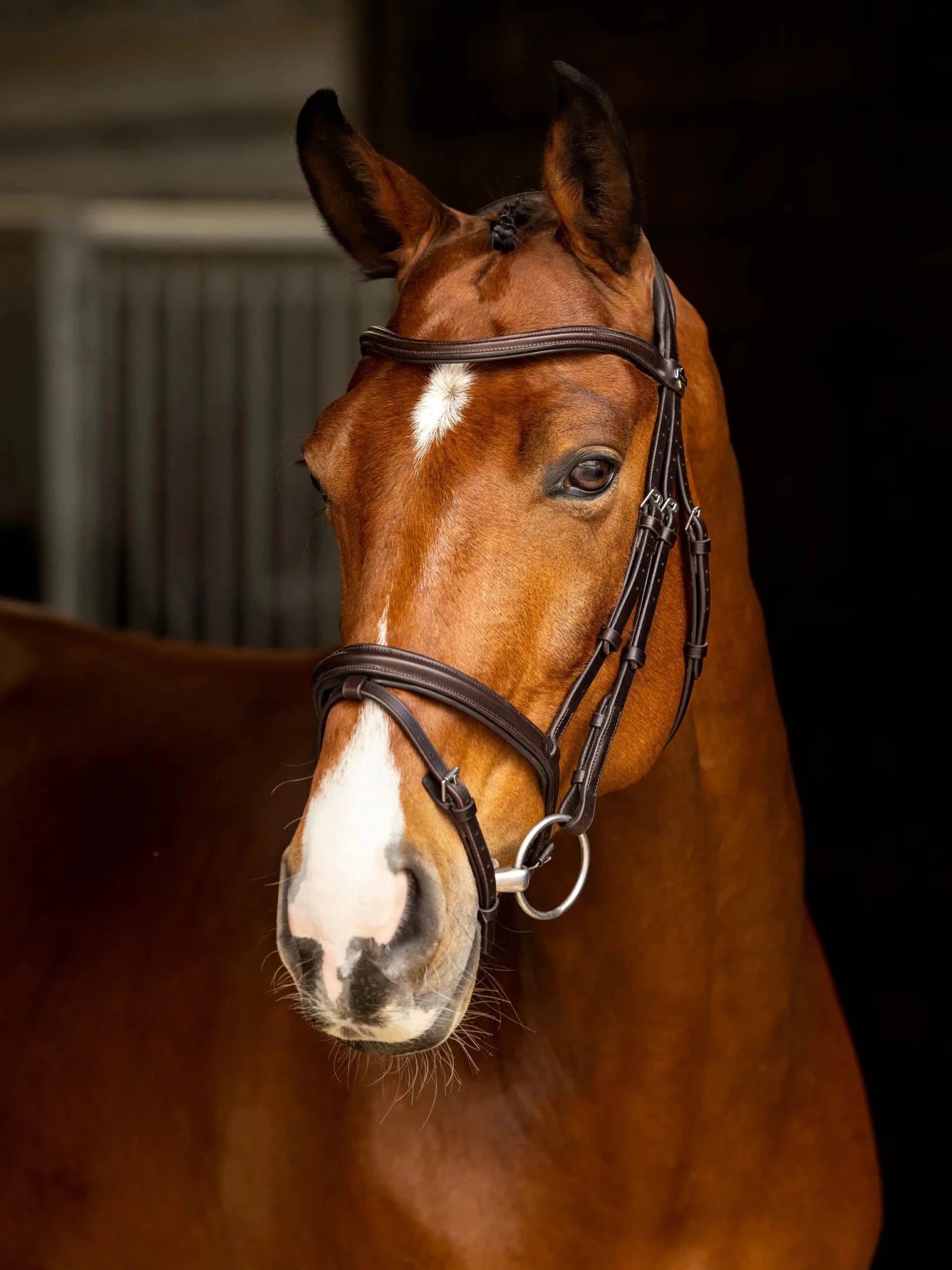 LeMieux Arika Flash Bridle - Nags Essentials