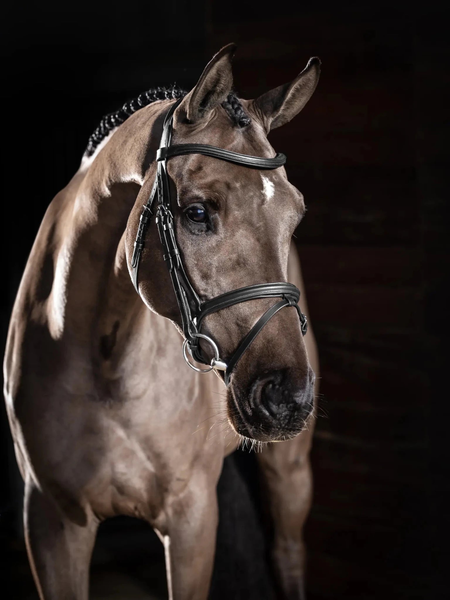 LeMieux Arika Flash Bridle - Nags Essentials