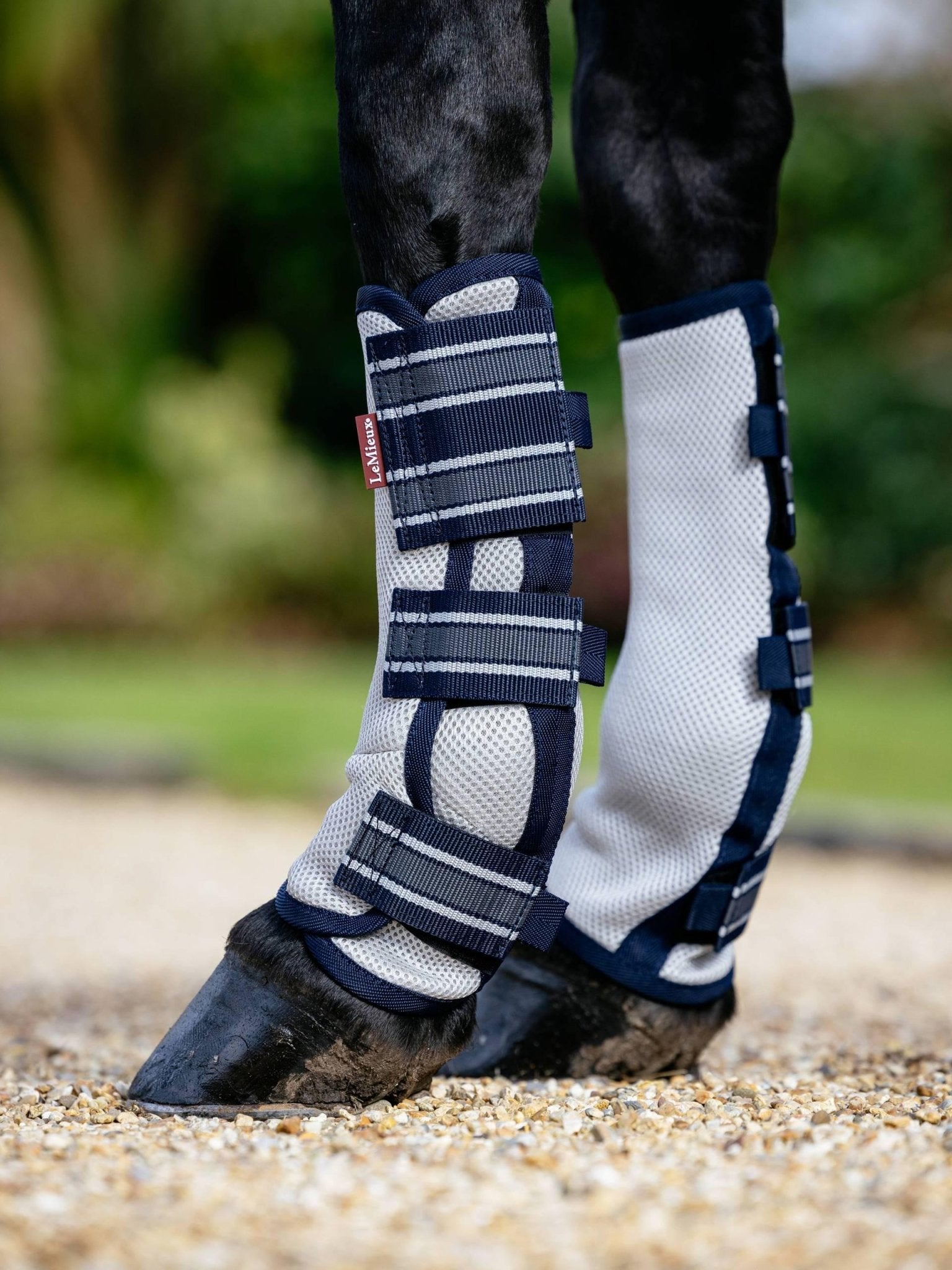 LeMieux Arika Mesh Fly Boots - Nags Essentials