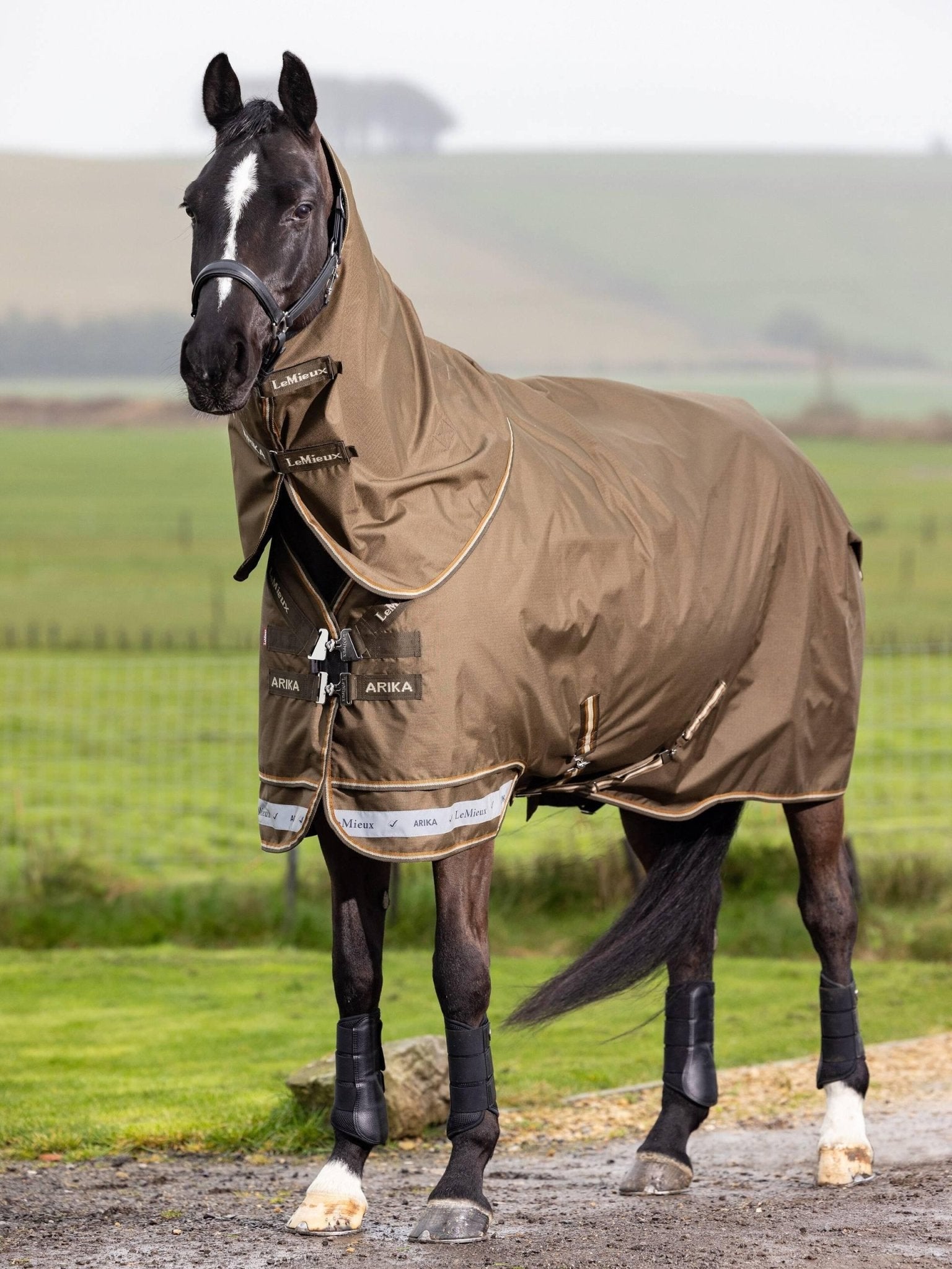 LeMieux Arika Ripstop 50g Turnout Rug - Alpine - Nags Essentials