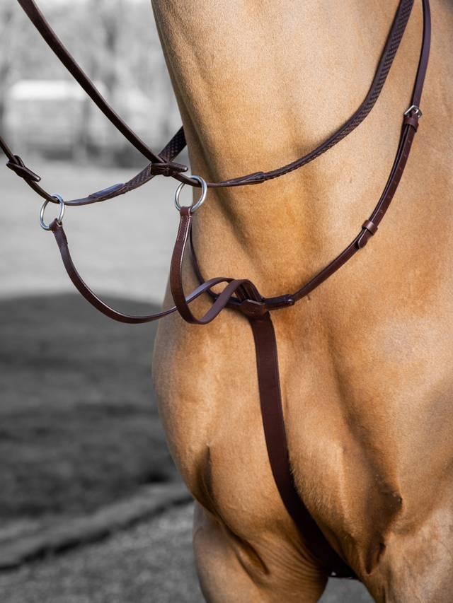 Lemieux Arika Running Martingale - Nags Essentials