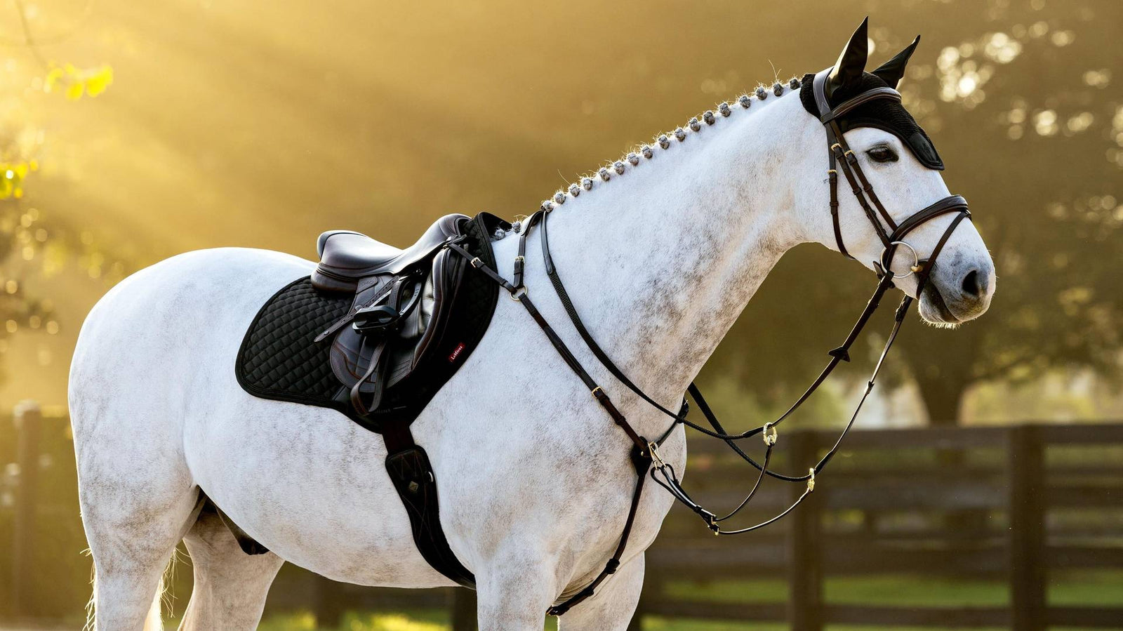 LeMieux Brilliance Close Contact Square - Nags Essentials