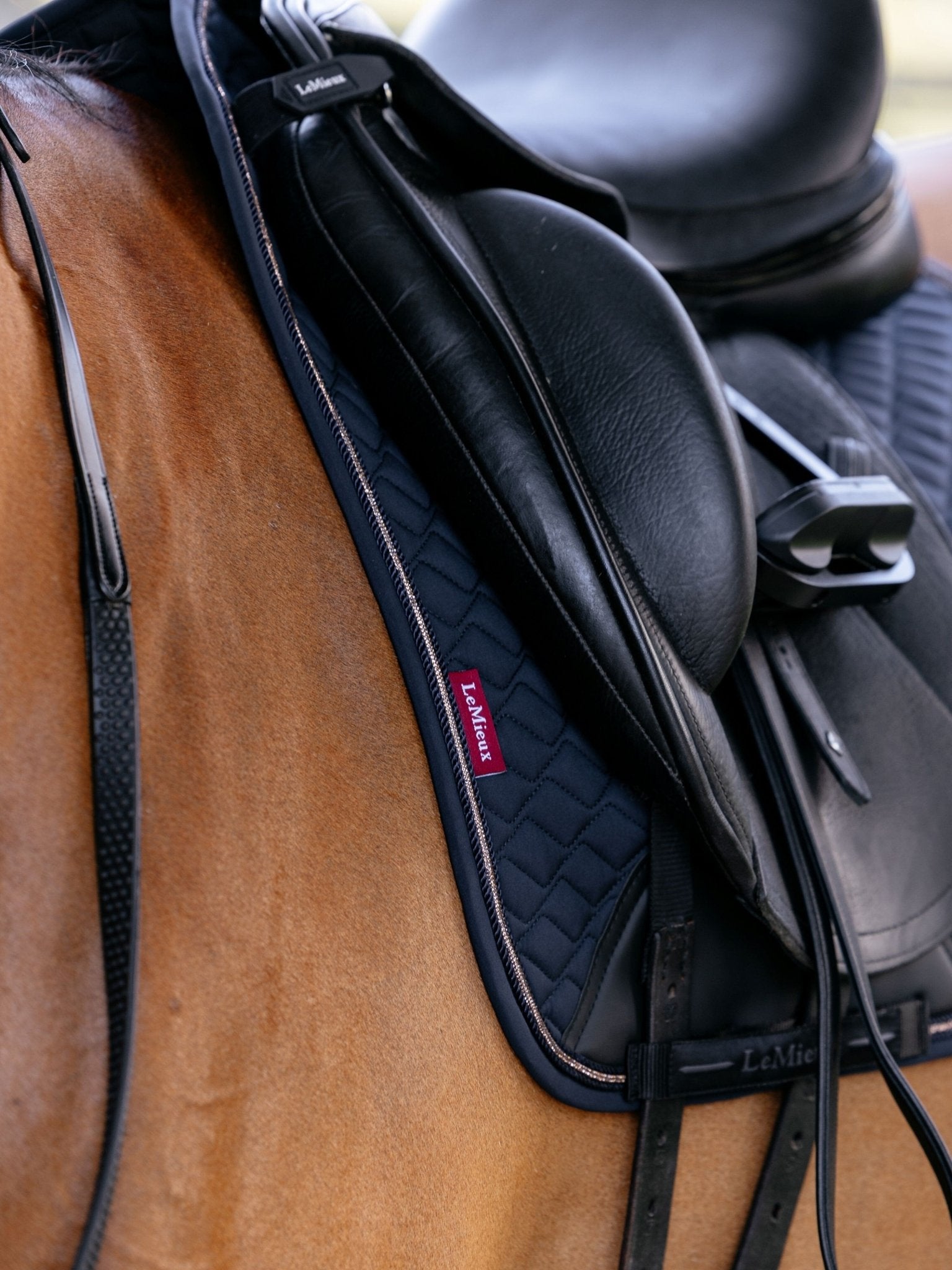 LeMieux Brilliance Dressage Square - Nags Essentials