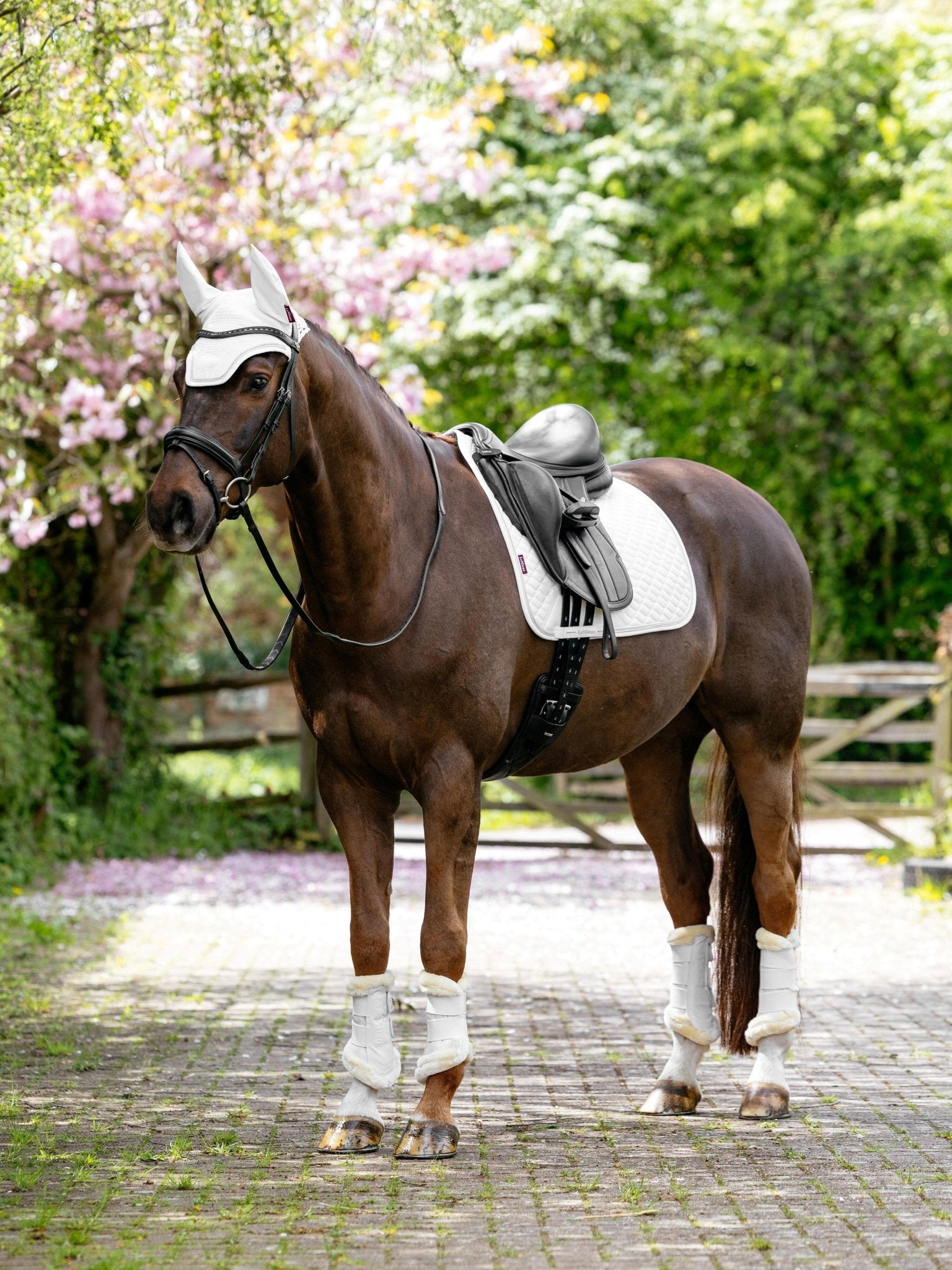LeMieux Brilliance Dressage Square - Nags Essentials