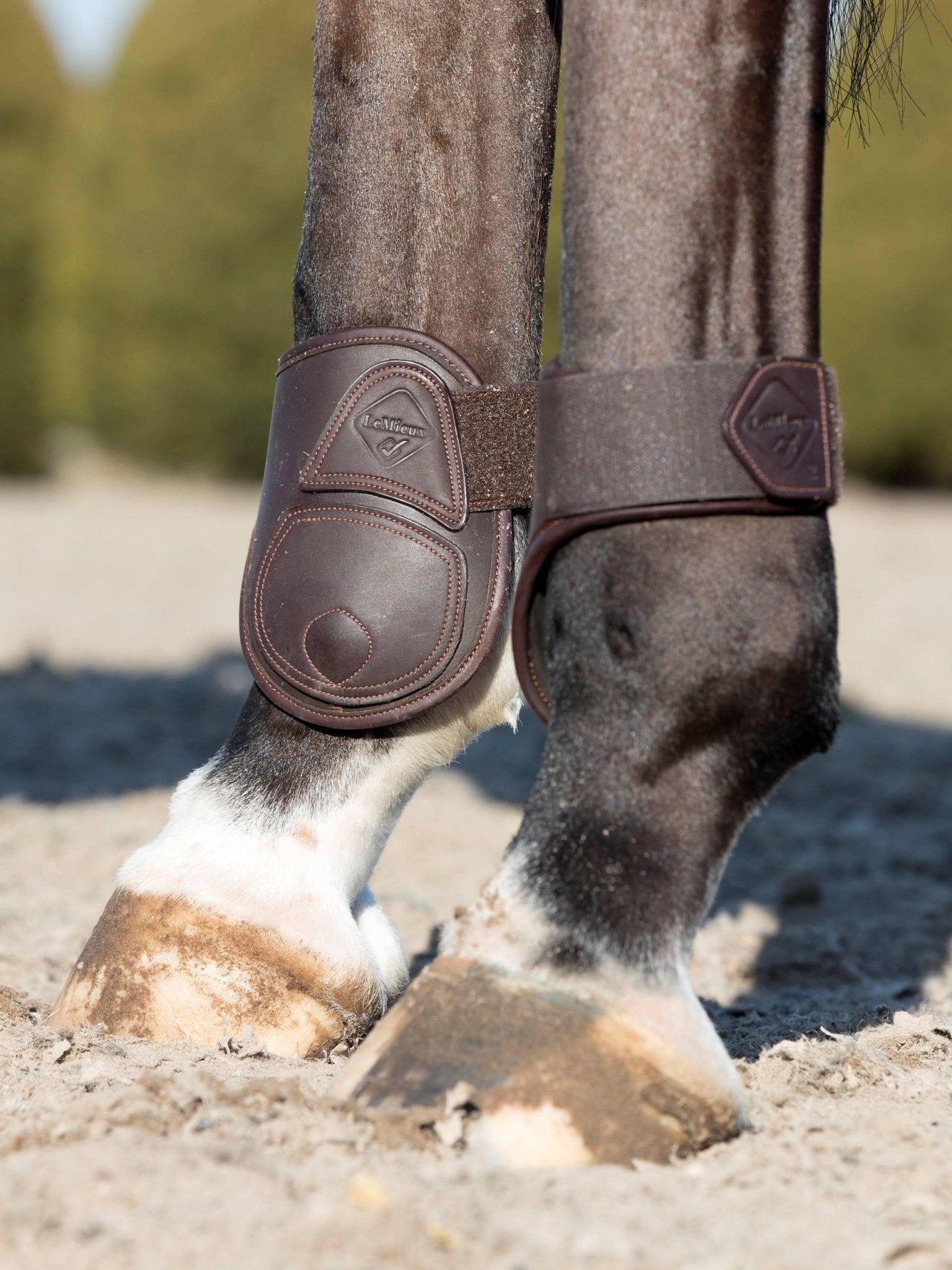 LeMieux Capella Fetlock Boots - Nags Essentials