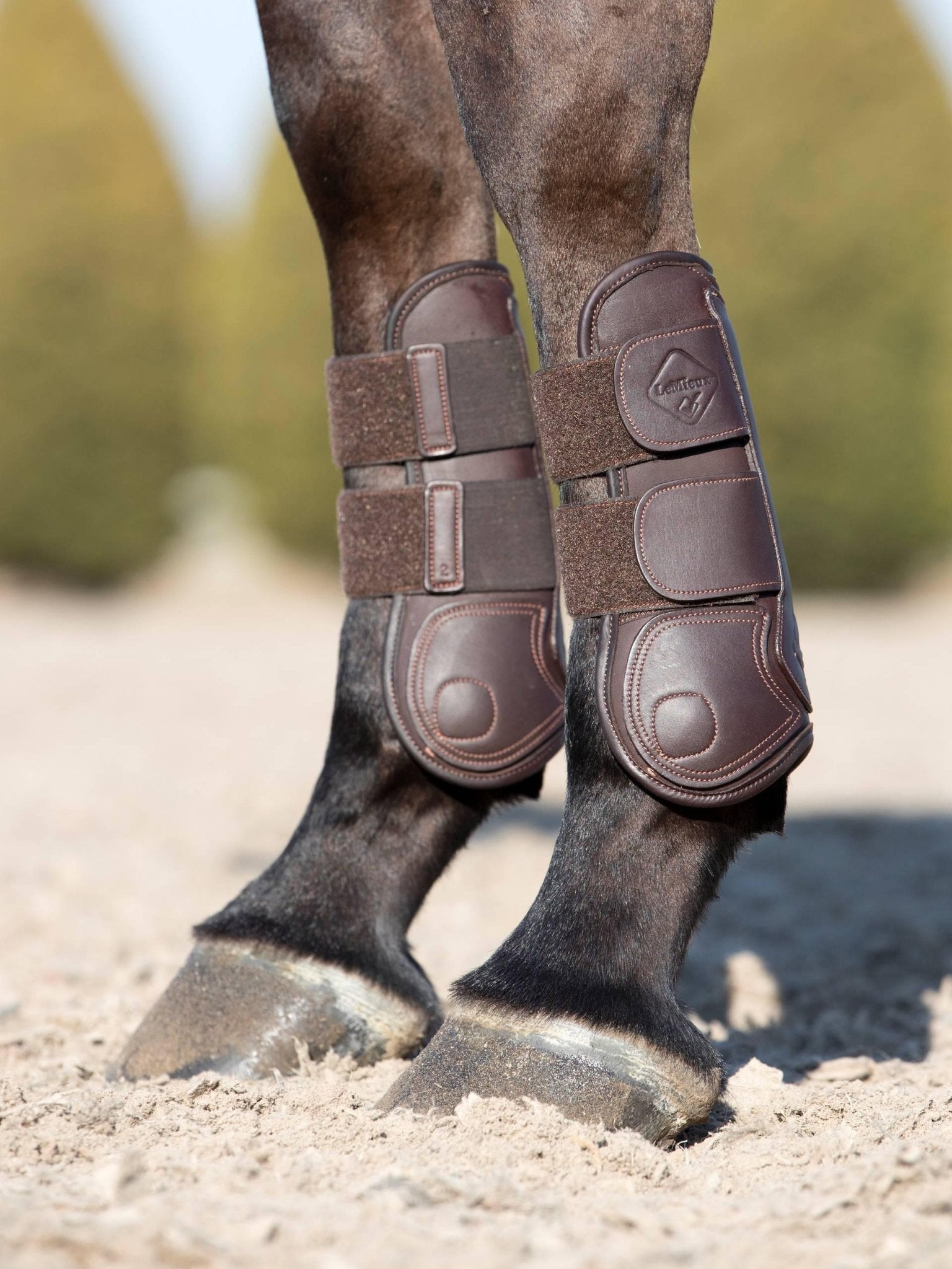 LeMieux Capella Tendon Boots - Nags Essentials