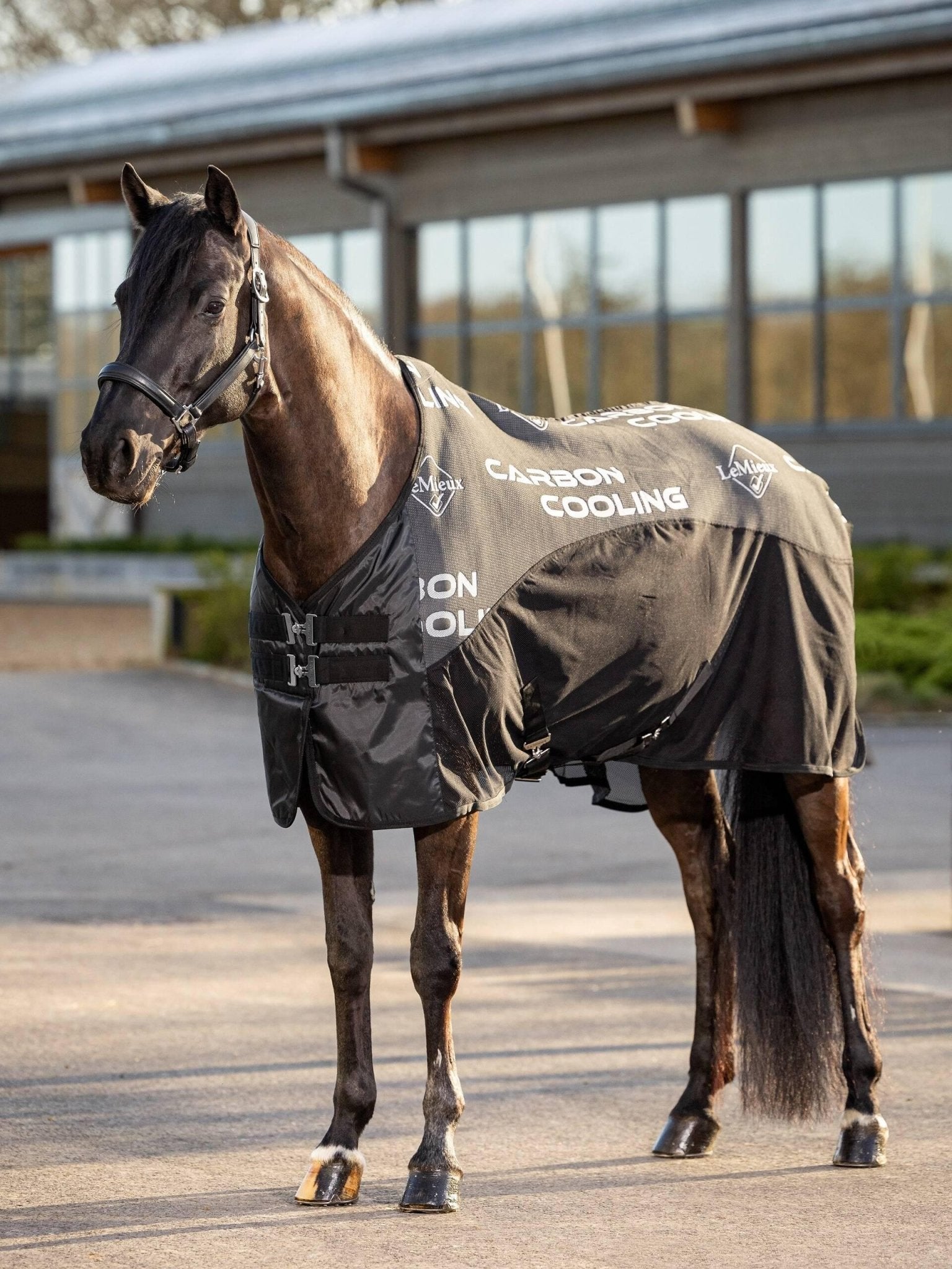 LeMieux Carbon Cooler Rug - Black - Nags Essentials
