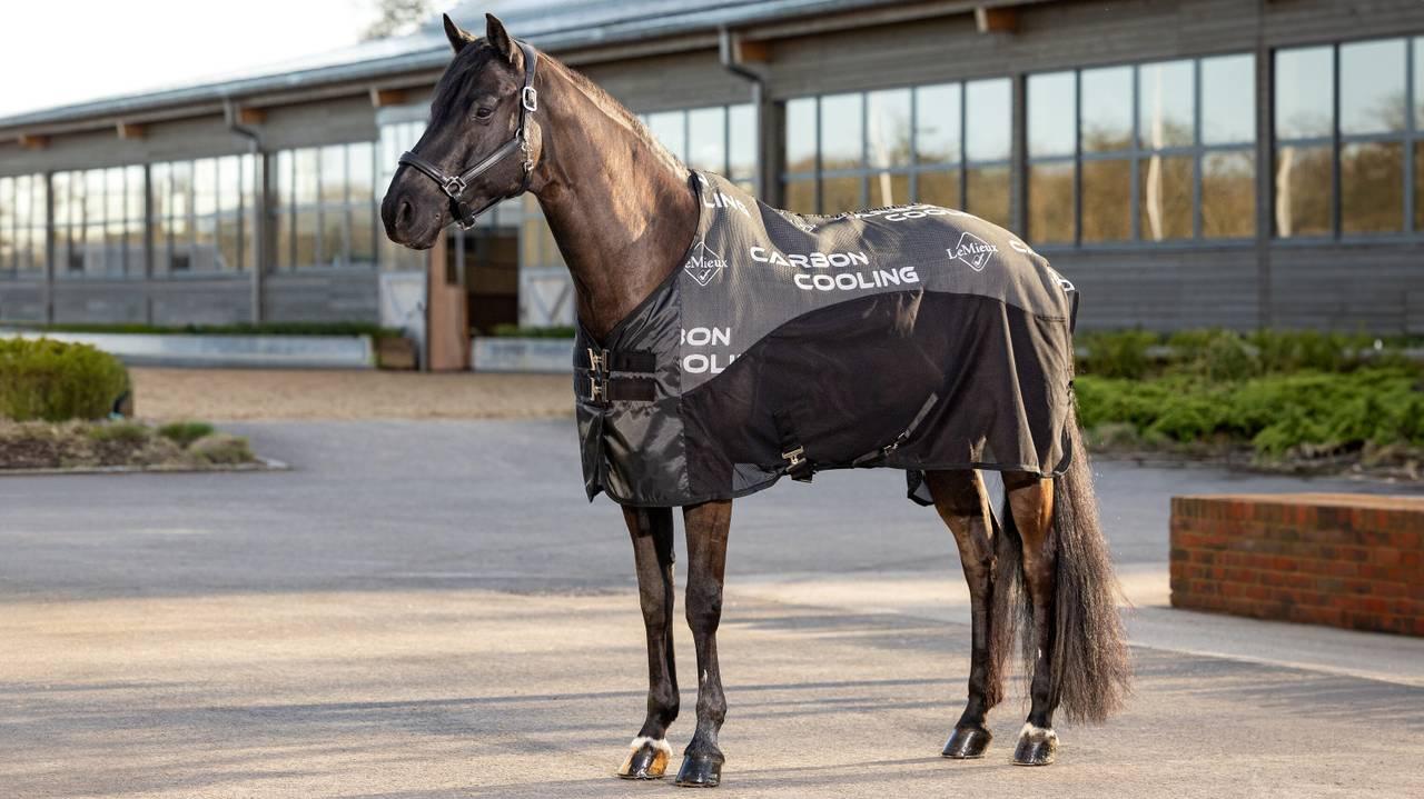 LeMieux Carbon Cooler Rug - Black - Nags Essentials