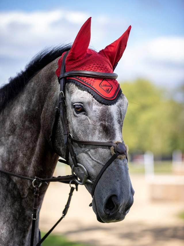 LeMieux Classic Fly Hood - Nags Essentials
