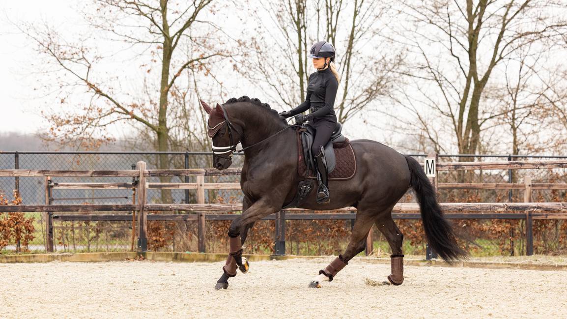LeMieux Crystal Suede Dressage Square - Nags Essentials