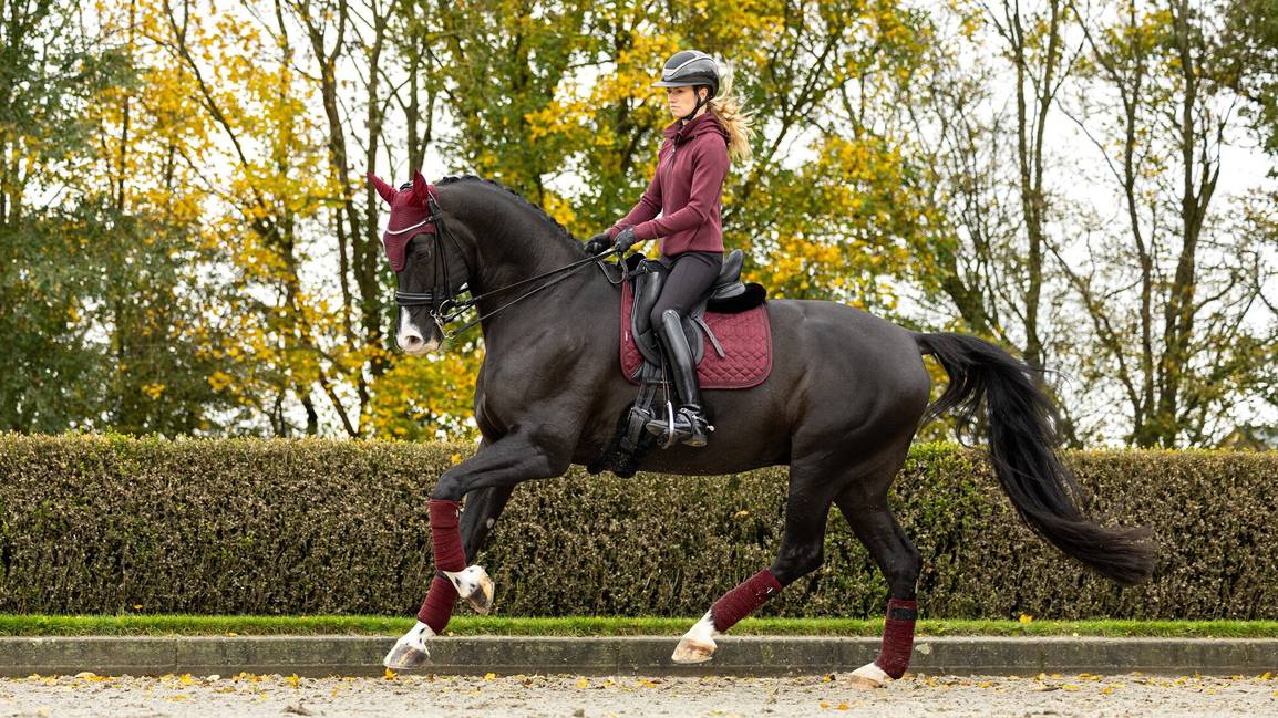 LeMieux Crystal Suede Dressage Square - Nags Essentials