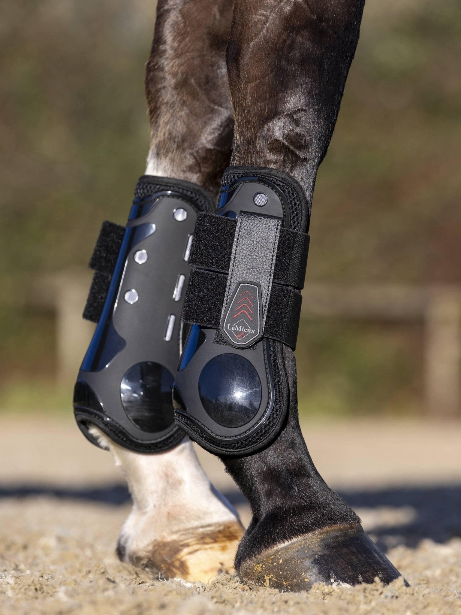 LeMieux Derby ProJump Tendon Boot - Nags Essentials