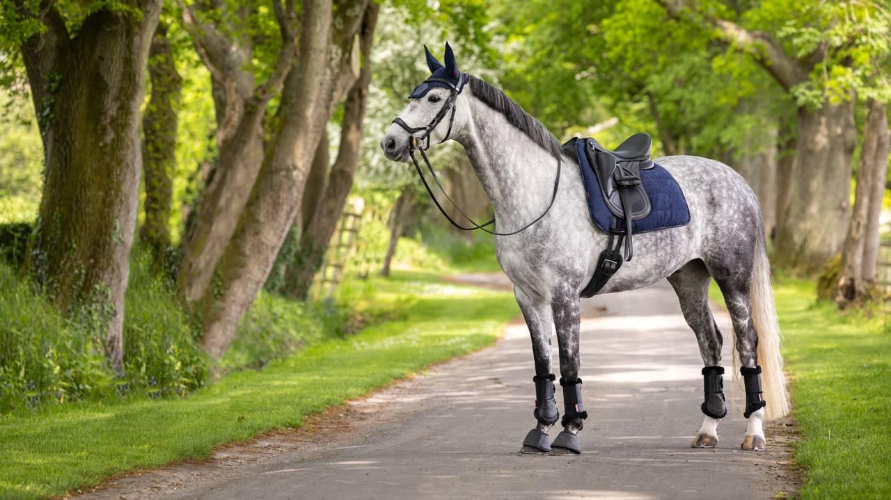 LeMieux Dressage Work Pad - Nags Essentials
