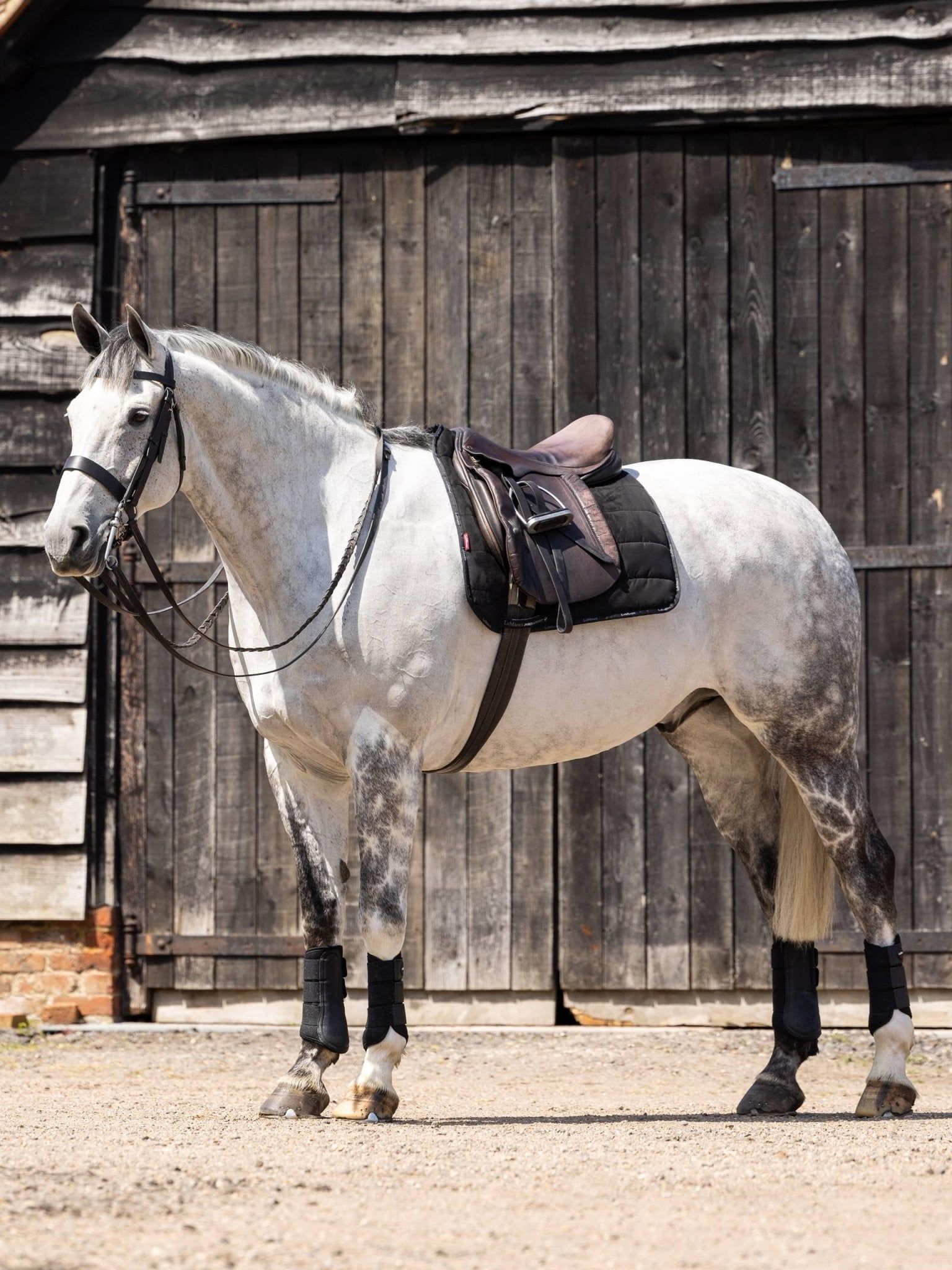 LeMieux Dressage Work Pad - Nags Essentials