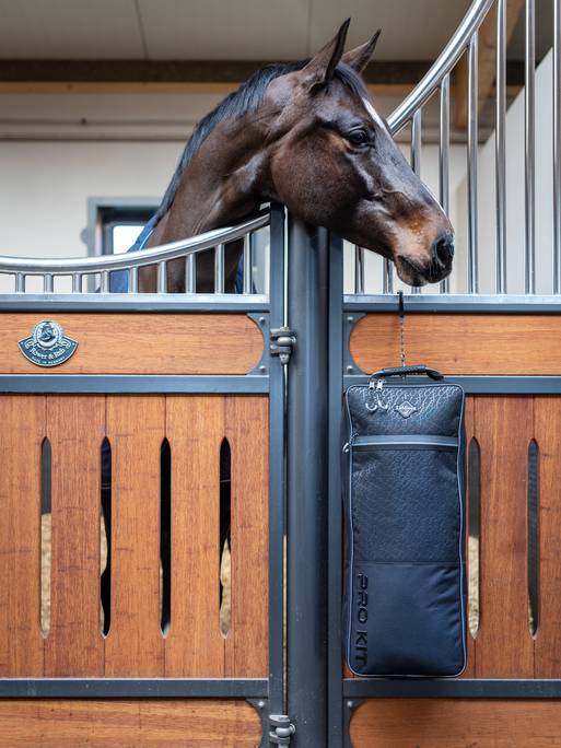 Lemieux Elite Bridle Bag - Nags Essentials