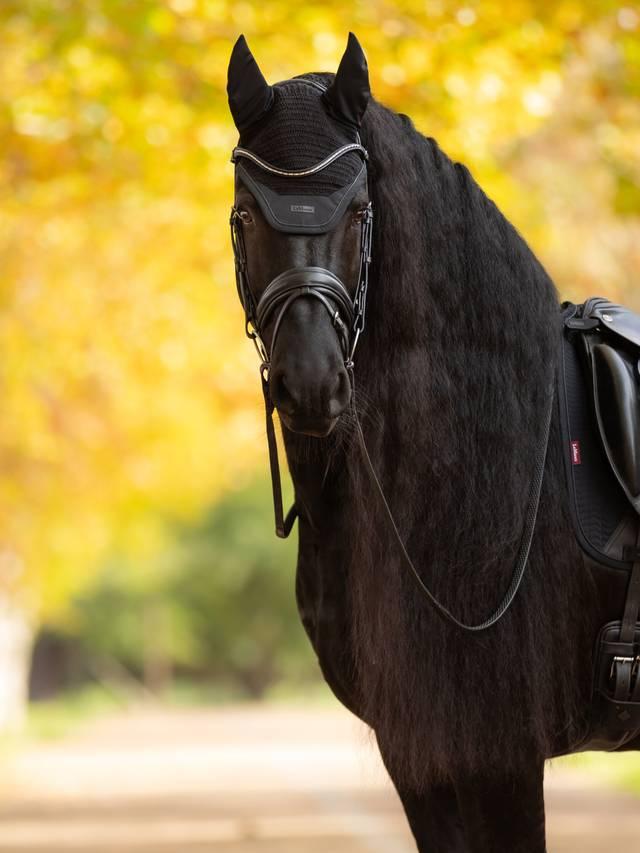 Lemieux Essence Acoustic Fly Hood - Nags Essentials
