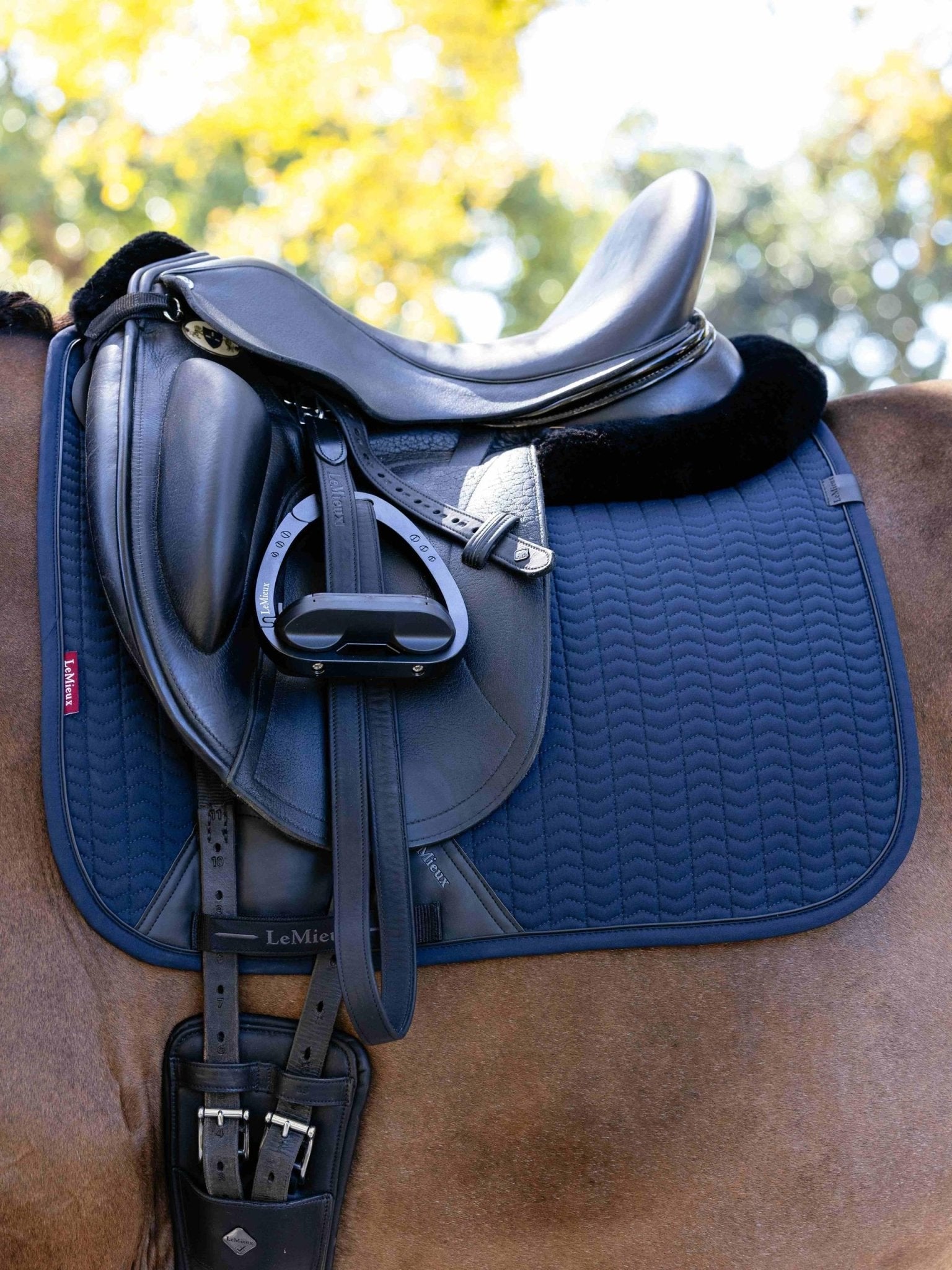 LeMieux Essence Dressage Square - Nags Essentials