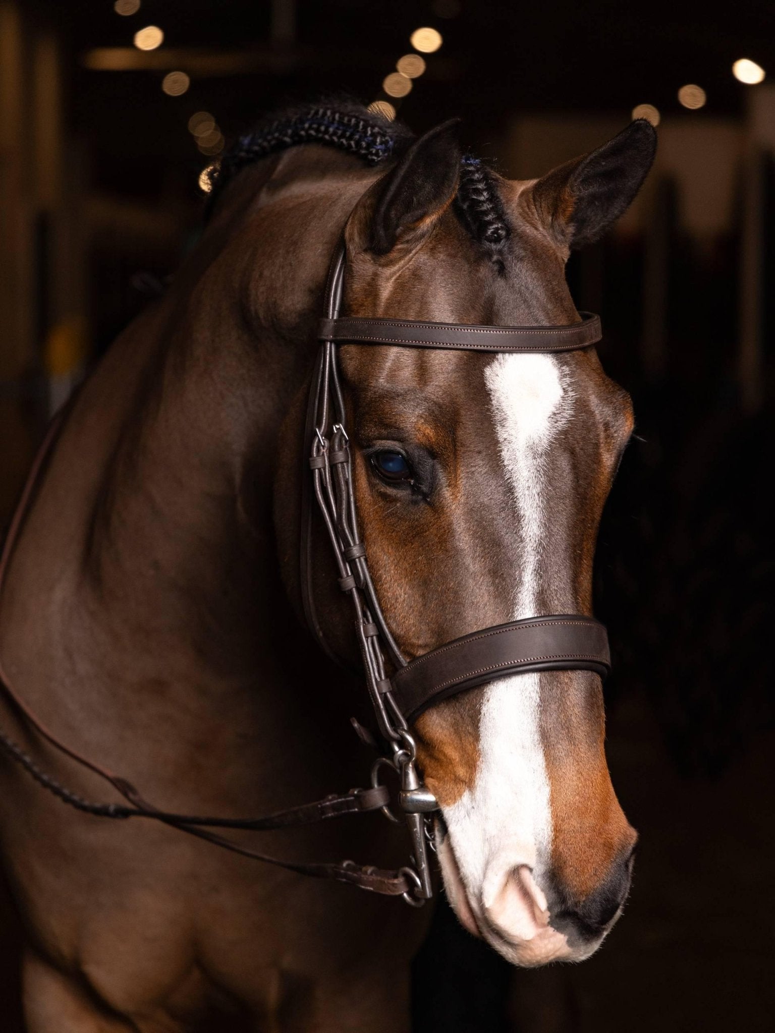 LeMieux Flat Hunter Bridle with Laced Reins - Havana/Silver - Nags Essentials