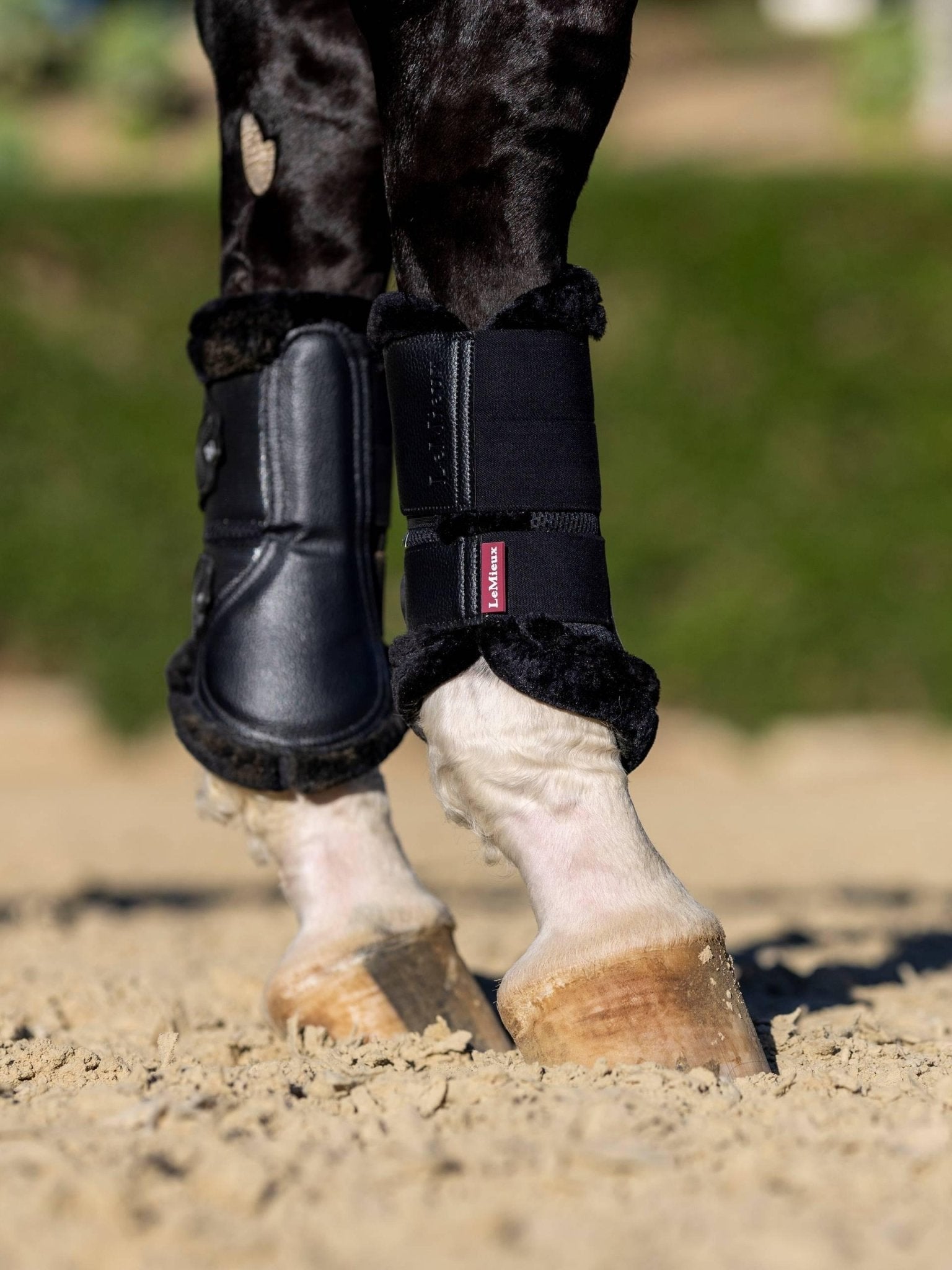 LeMieux Fleece Edged Mesh Brushing Boots - Nags Essentials