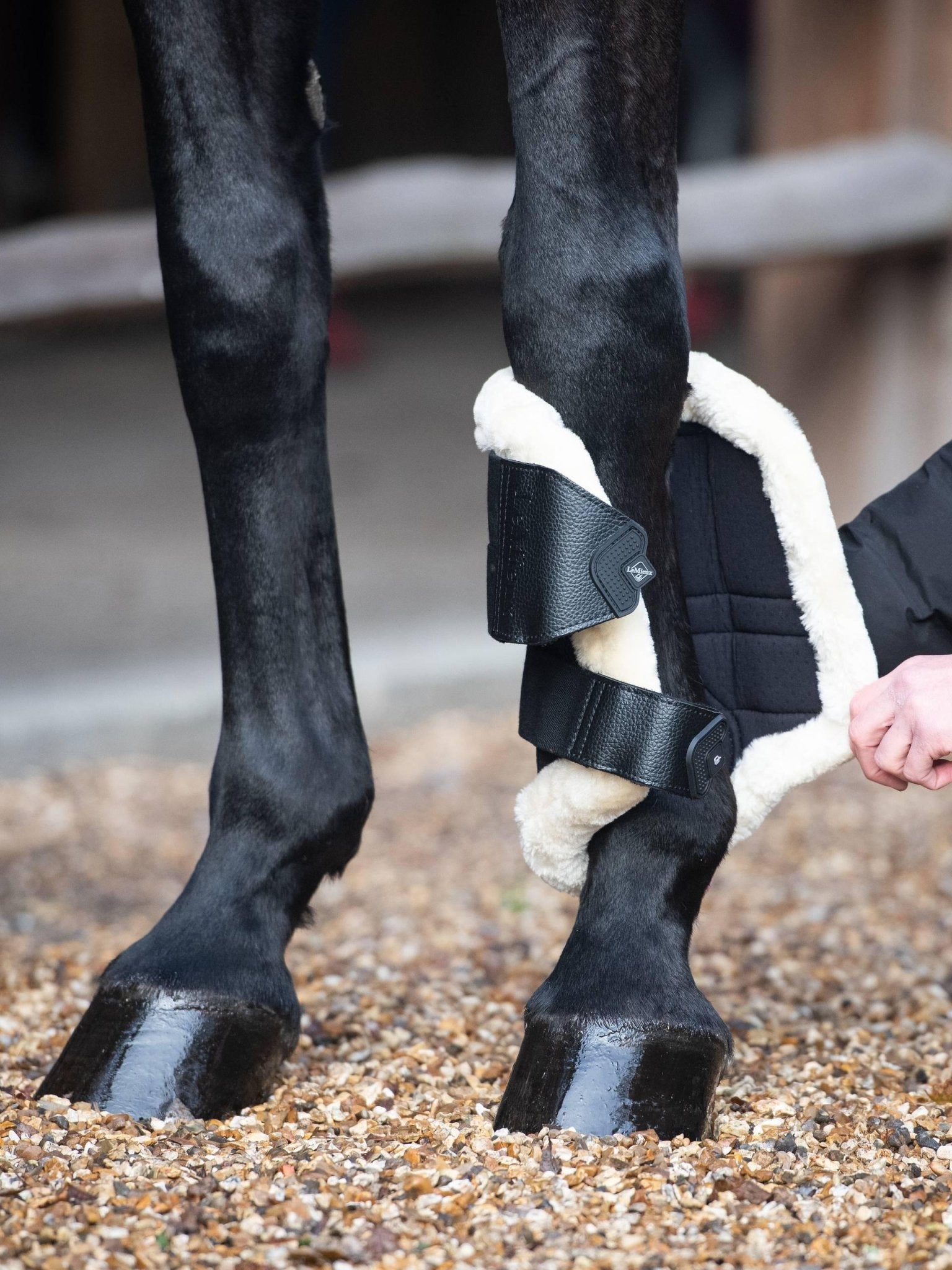 LeMieux Fleece Edged Mesh Brushing Boots - Nags Essentials