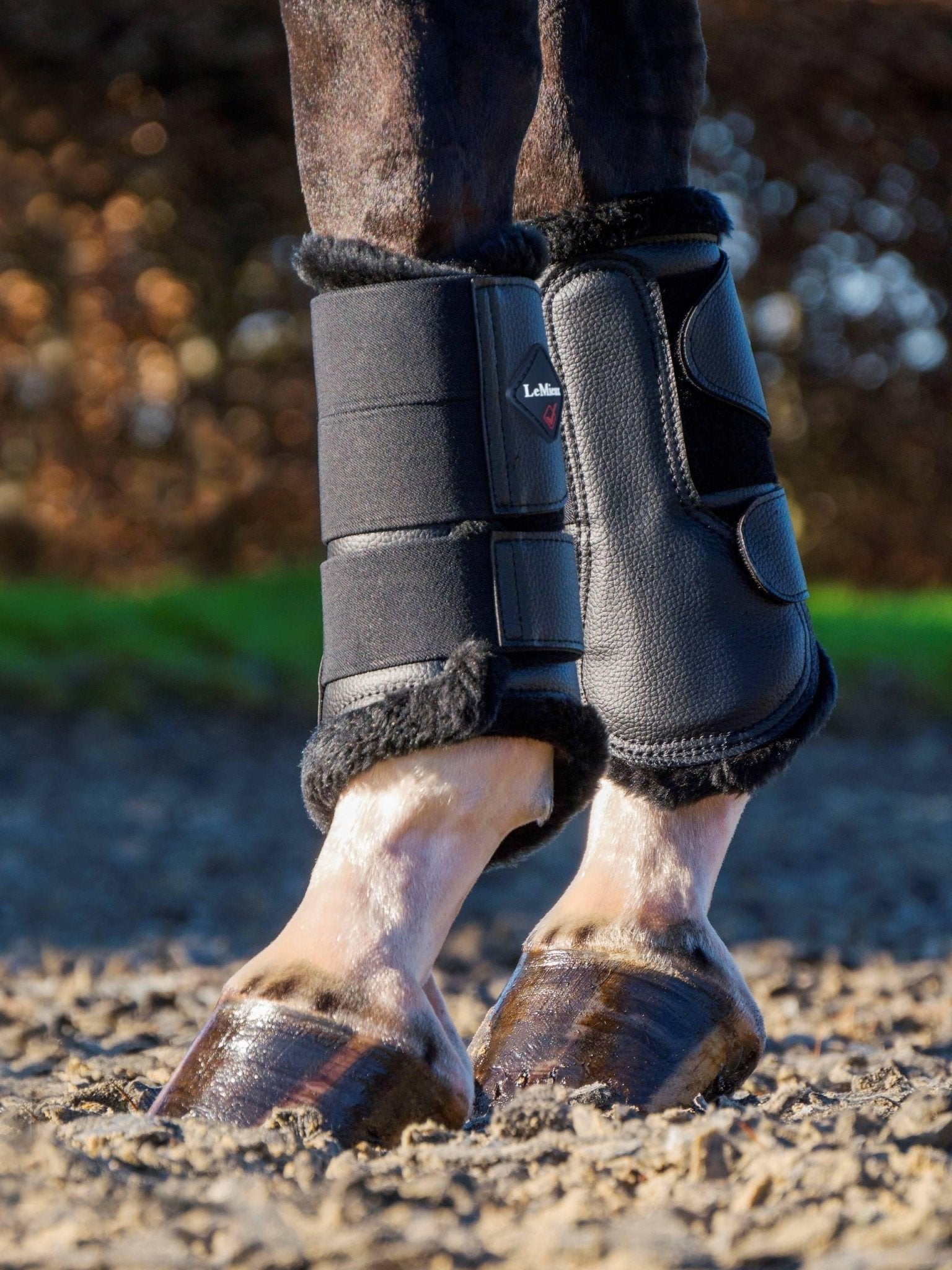 LeMieux Fleece Lined Brushing Boots - Nags Essentials