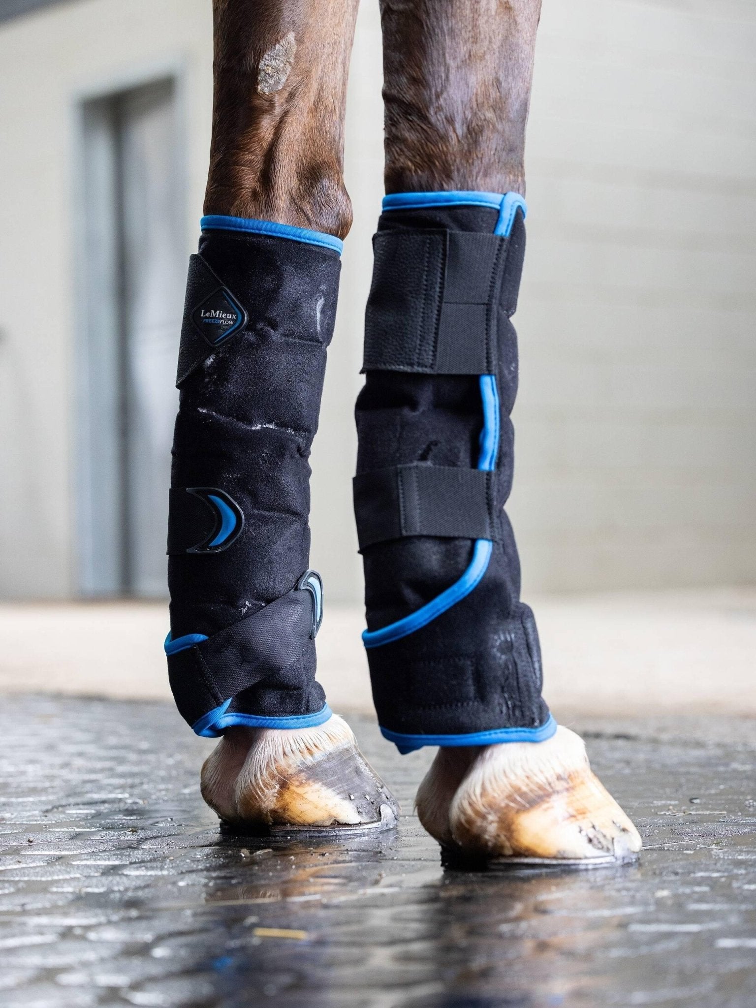 LeMieux Freeze Flow Ice Boot Front - Black - Nags Essentials