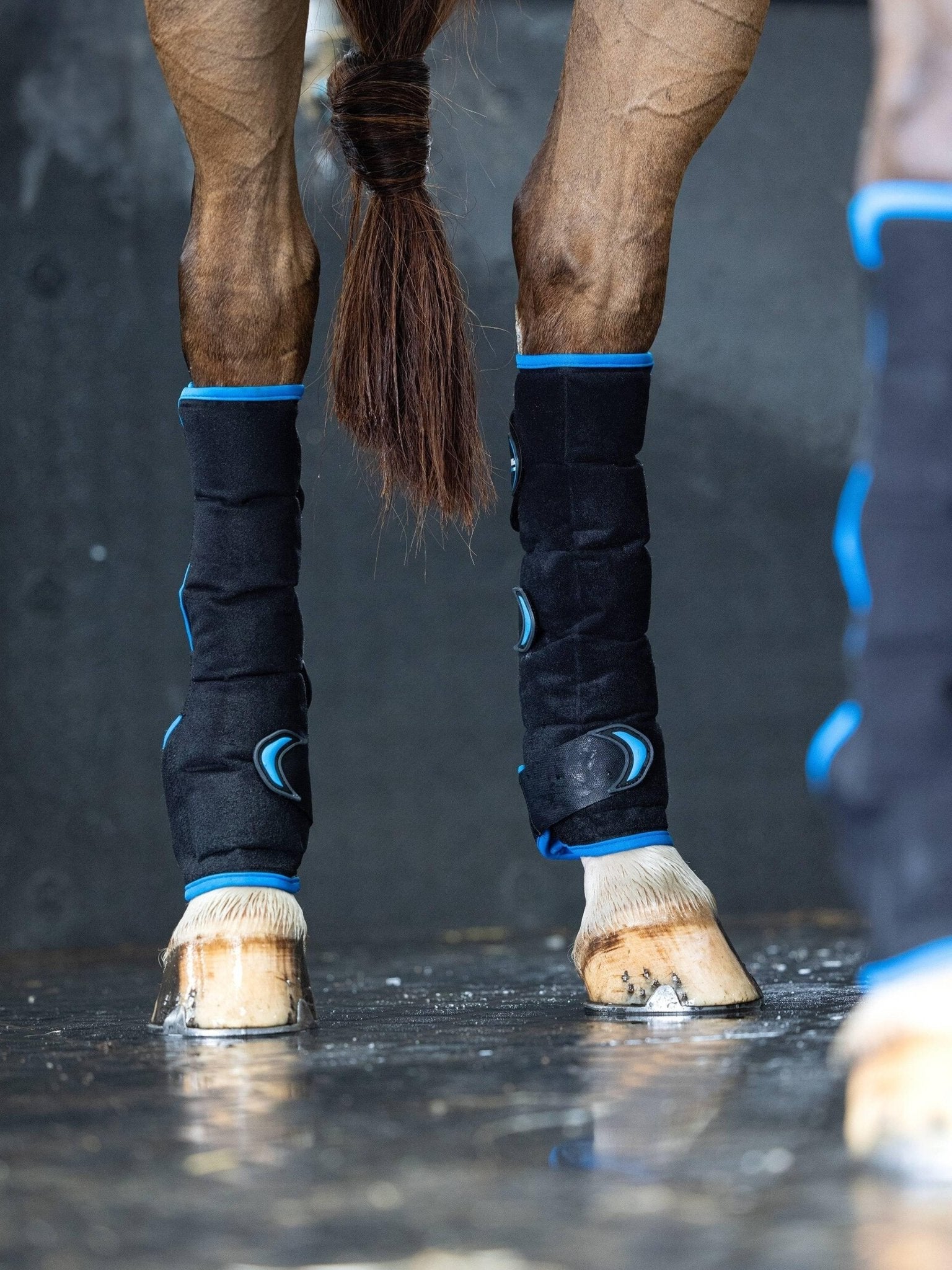 Lemieux Freeze Flow Ice Boot Hind - Black - Nags Essentials