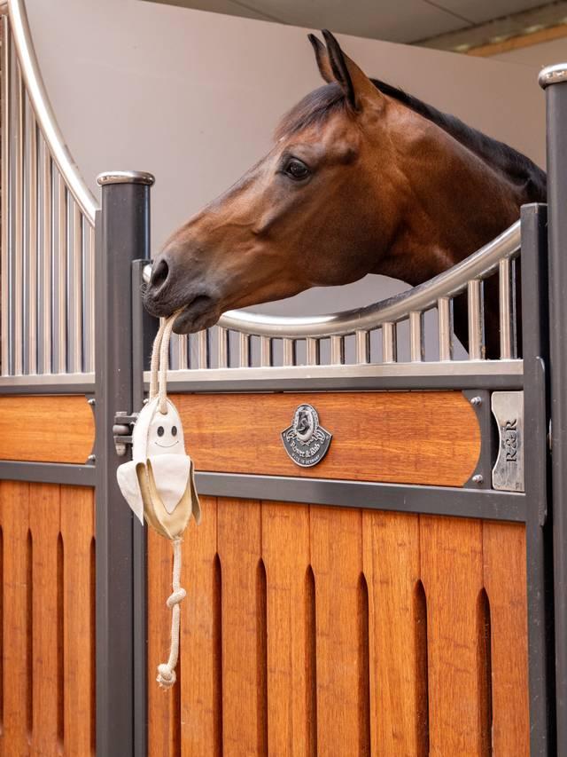 LeMieux Horse Toy - Nags Essentials