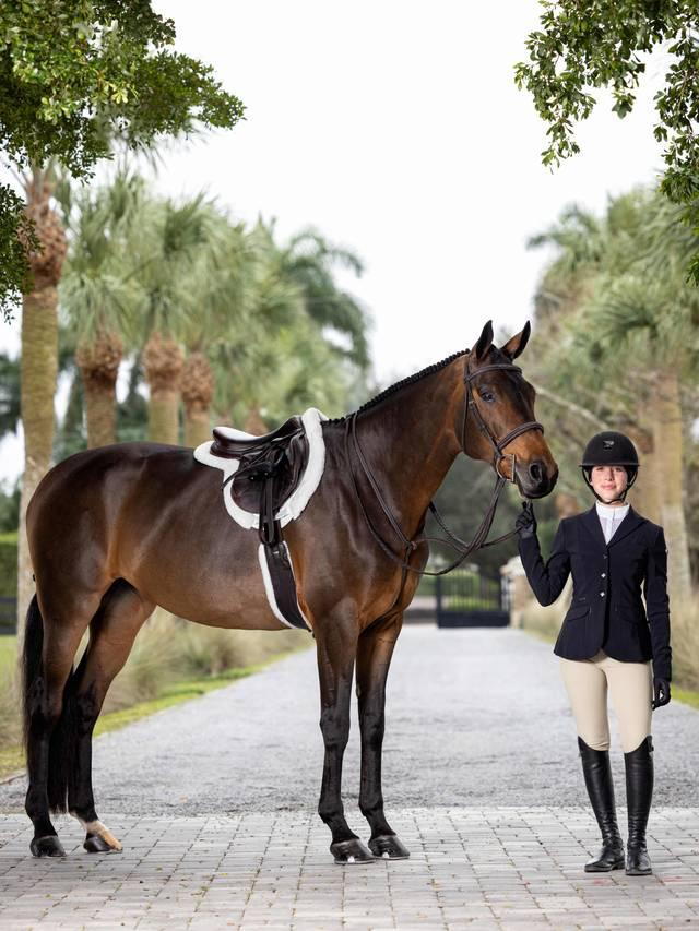 LeMieux Hunter Standing Martingale - Nags Essentials