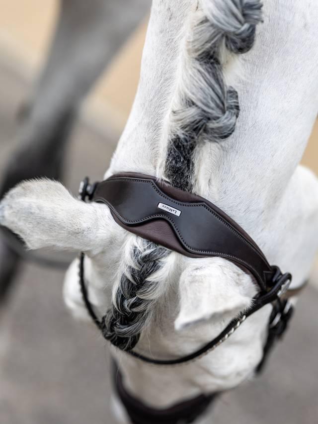 Lemieux Kudos Classic Dressage Bridle - Nags Essentials