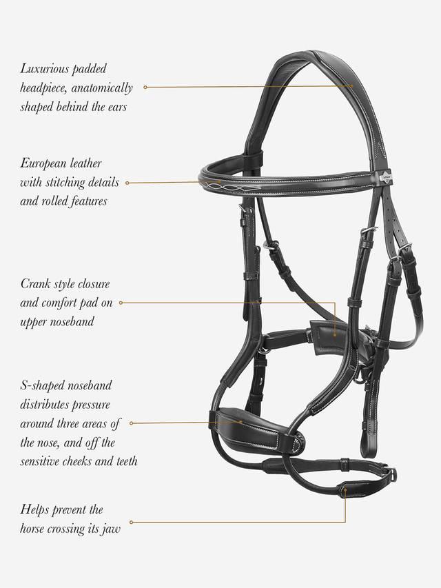 Lemieux Kudos Clear Arc Bridle - Nags Essentials